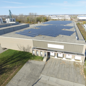 378 Elgin Street Exterior view of whole building