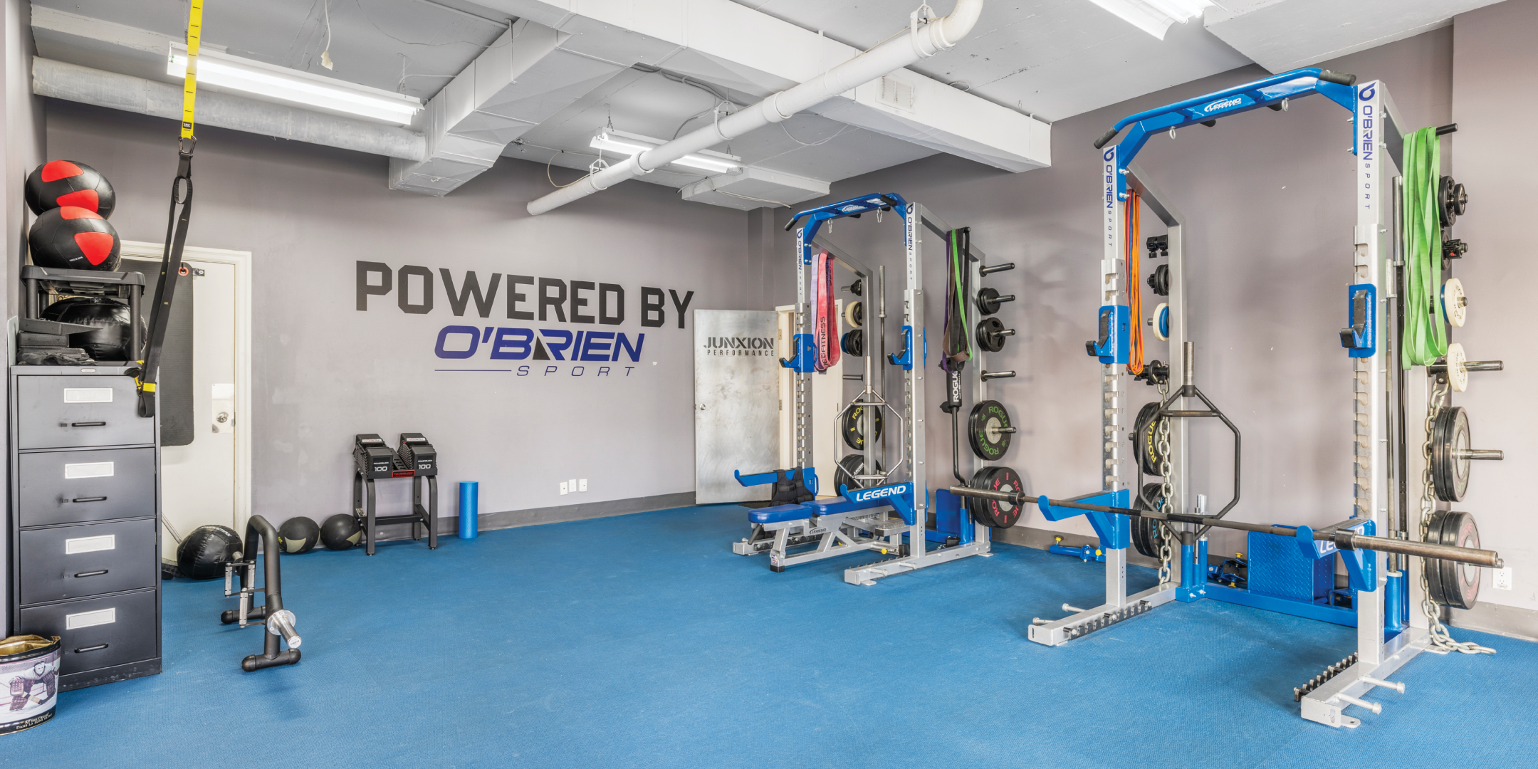 230 Browns Line Gym Area with weights and equipment