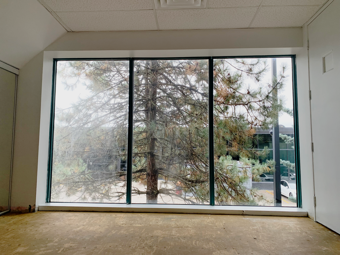 1315 Lawrence back windows with many natural lights
