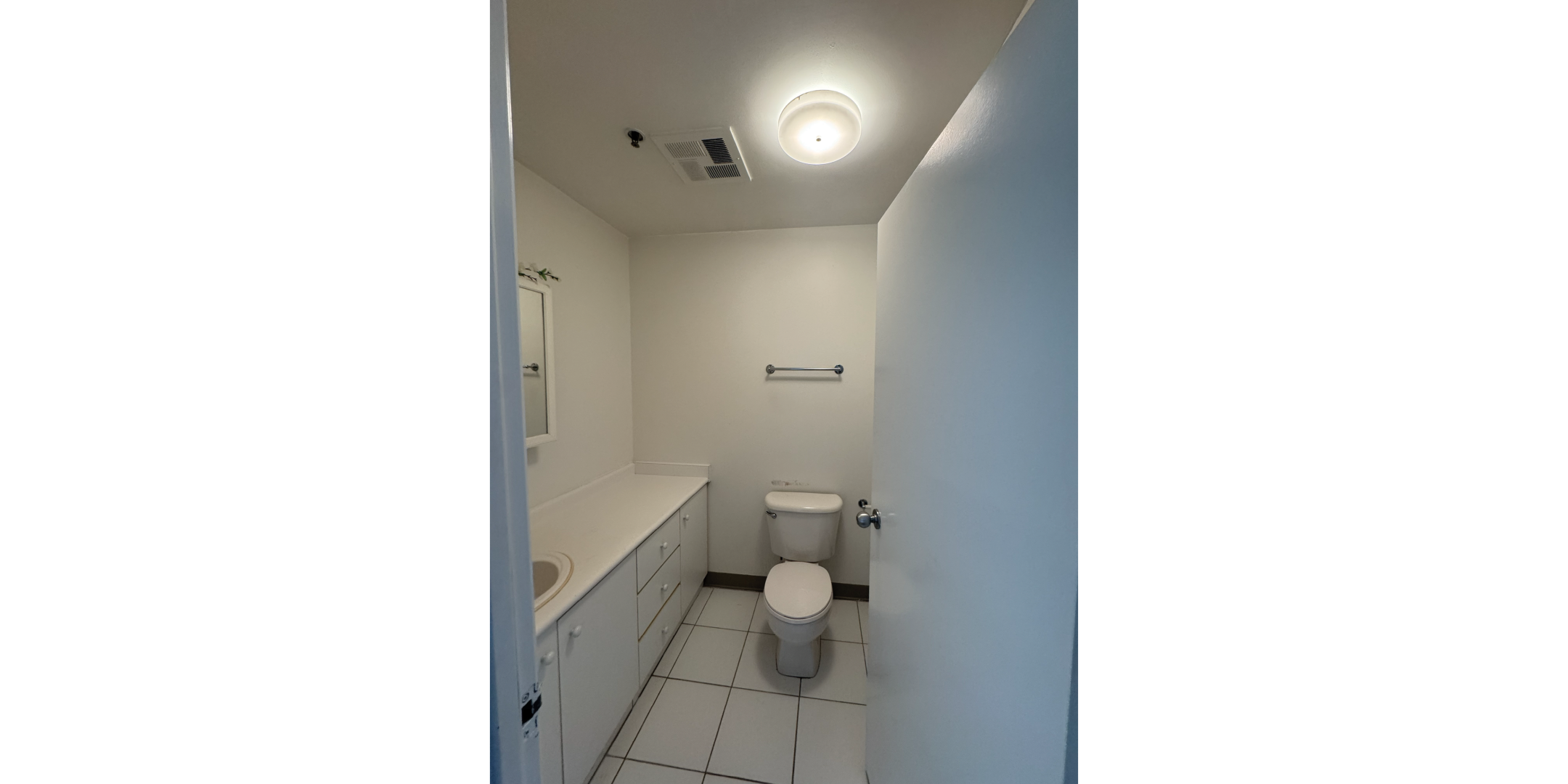 5 Adrian Avenue Interior Bathroom with toilet and vanity