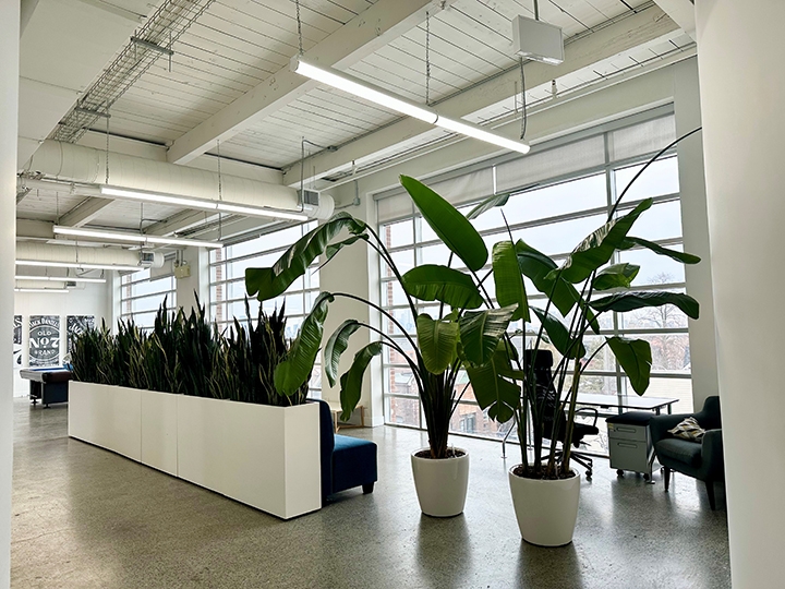 950 Dupont interior office space with big windows