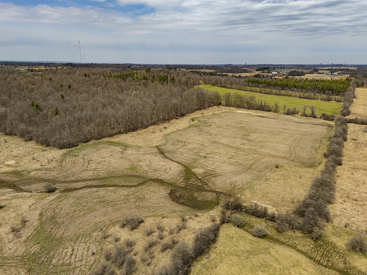 Fifth Line land parcel 