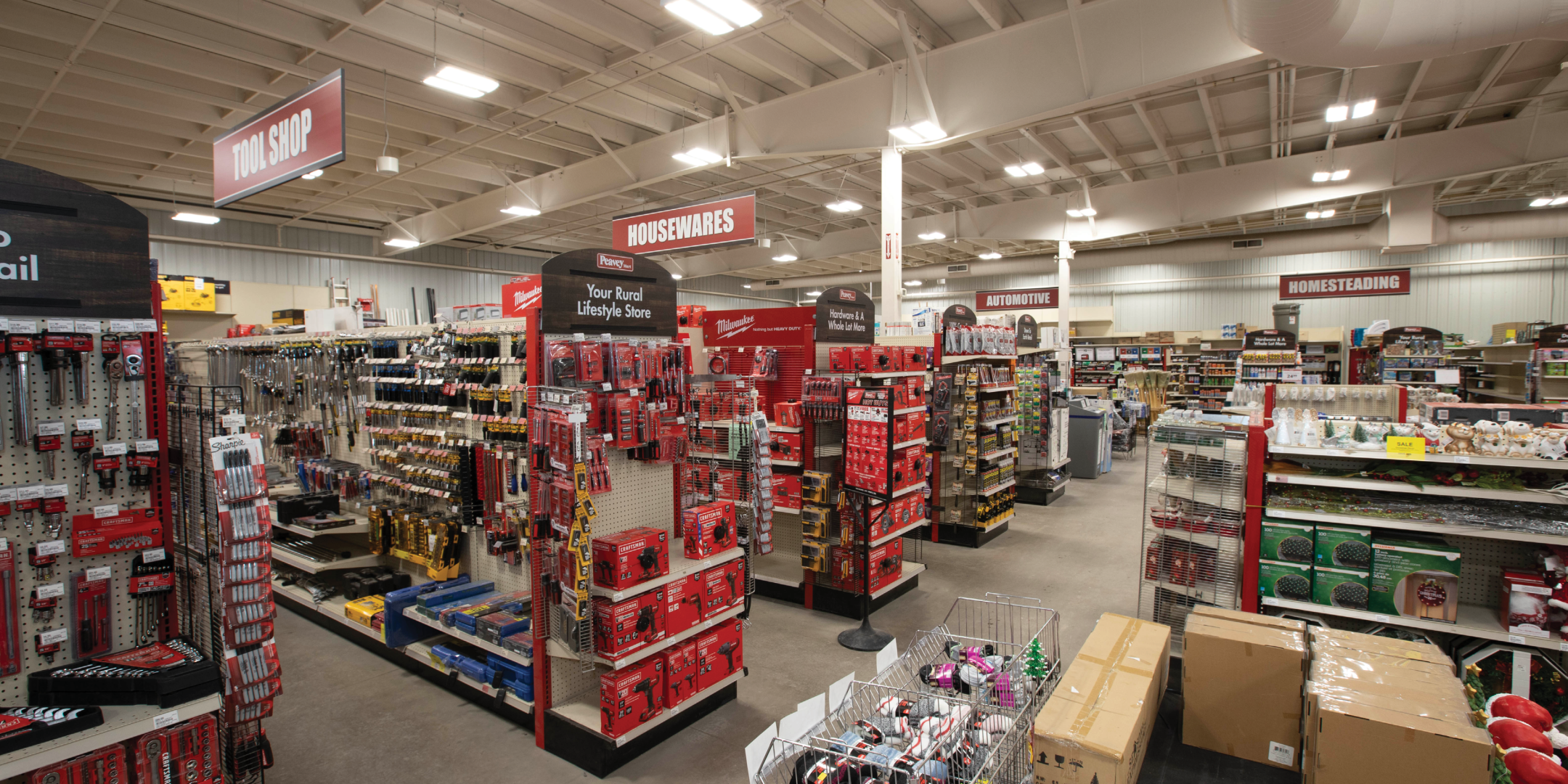 115 Edward Street Interior Retail Area