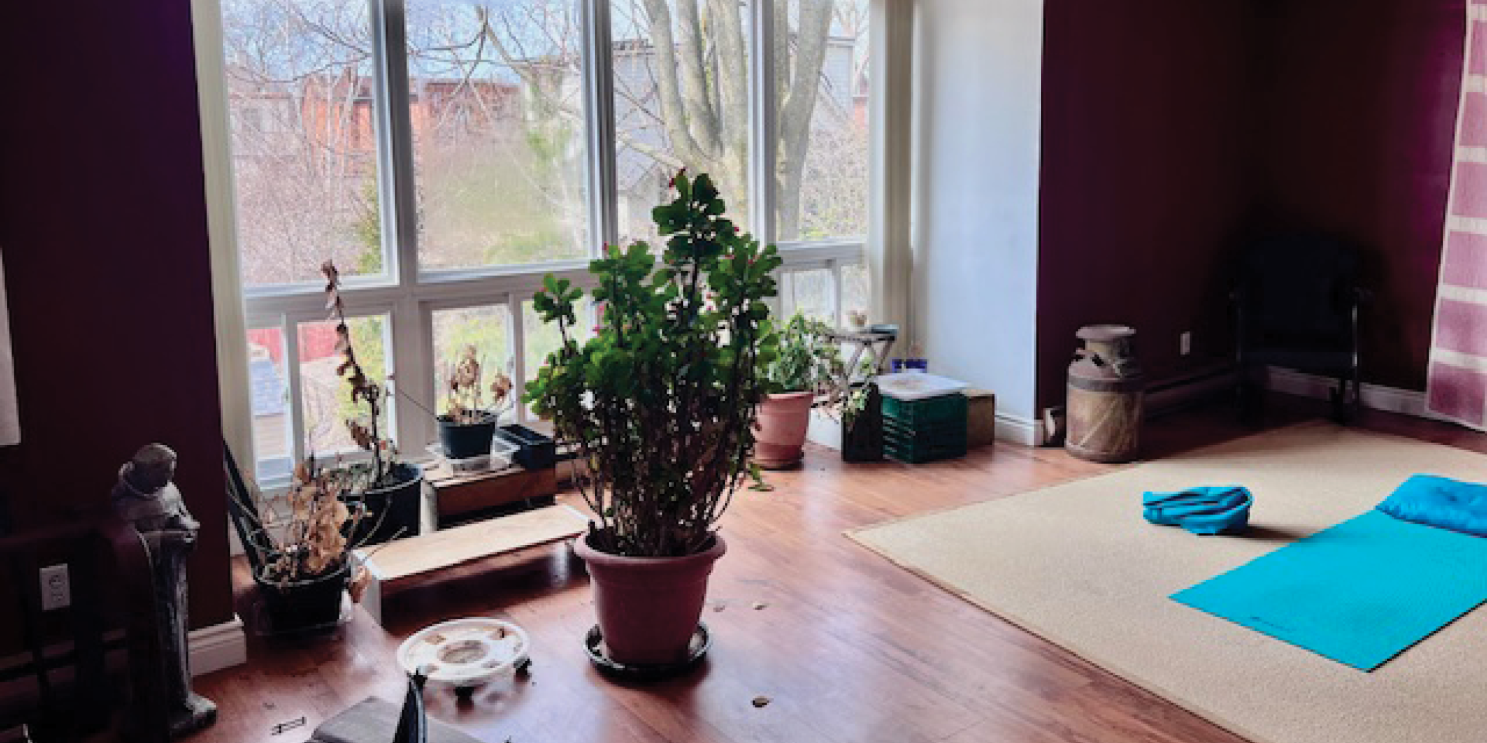 276 Gladstone Avenue yoga room
