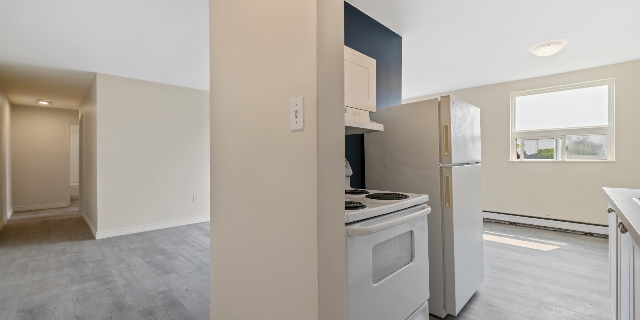 88 Confederation Drive renovated suite bachelor