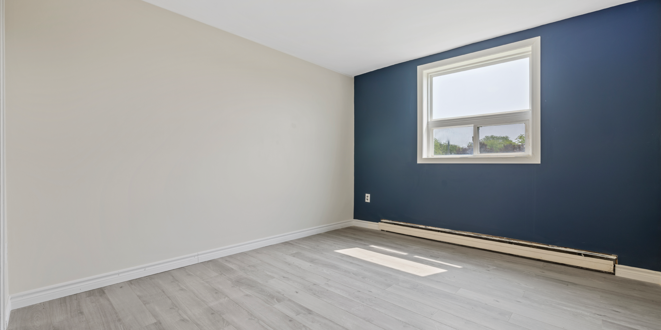 88 Confederation Drive renovated suite bachelor