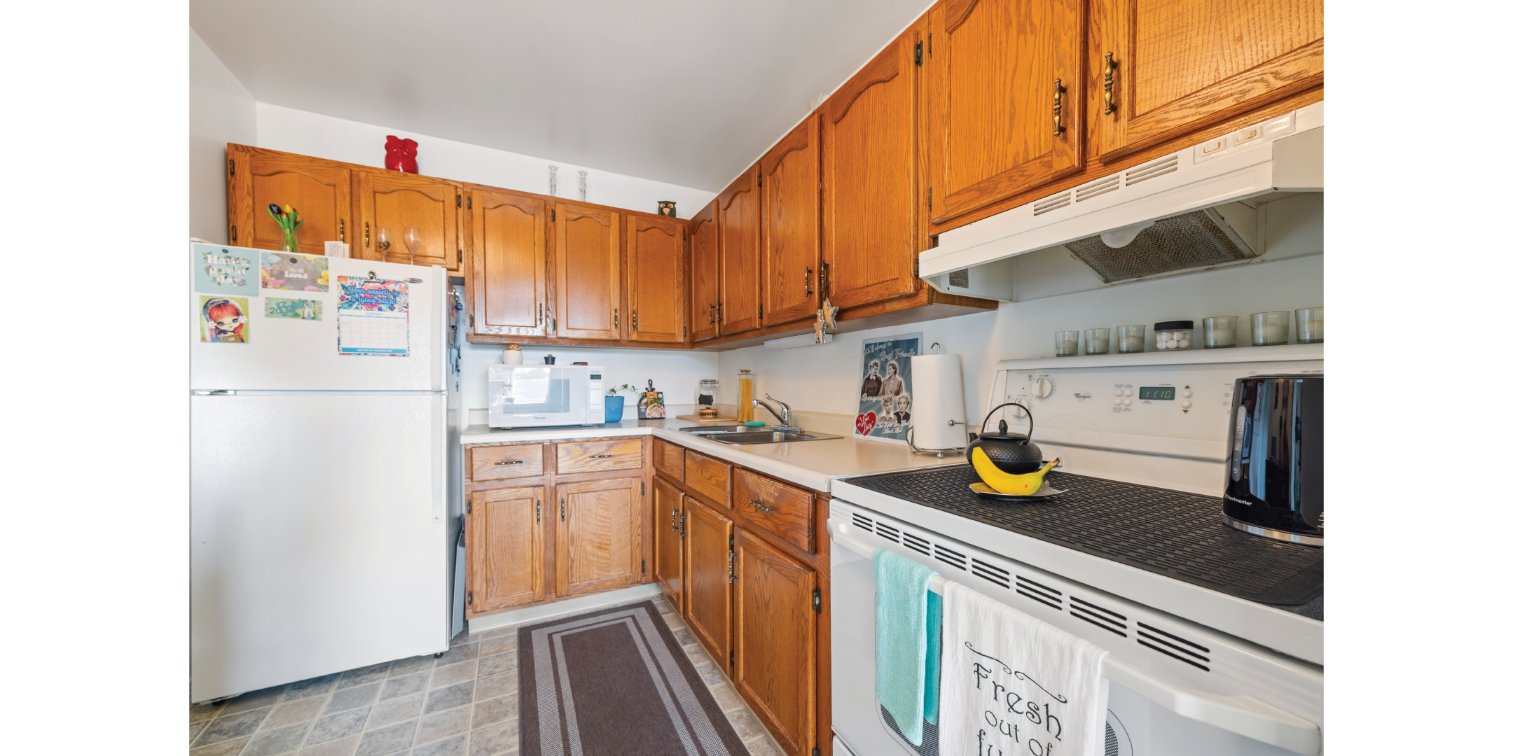 22 Carleton Court apartment kitchen