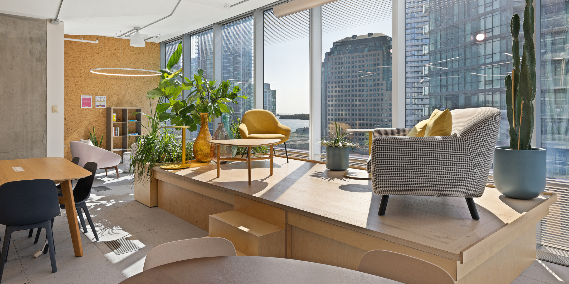 25 York Street relax area with lots of bright light