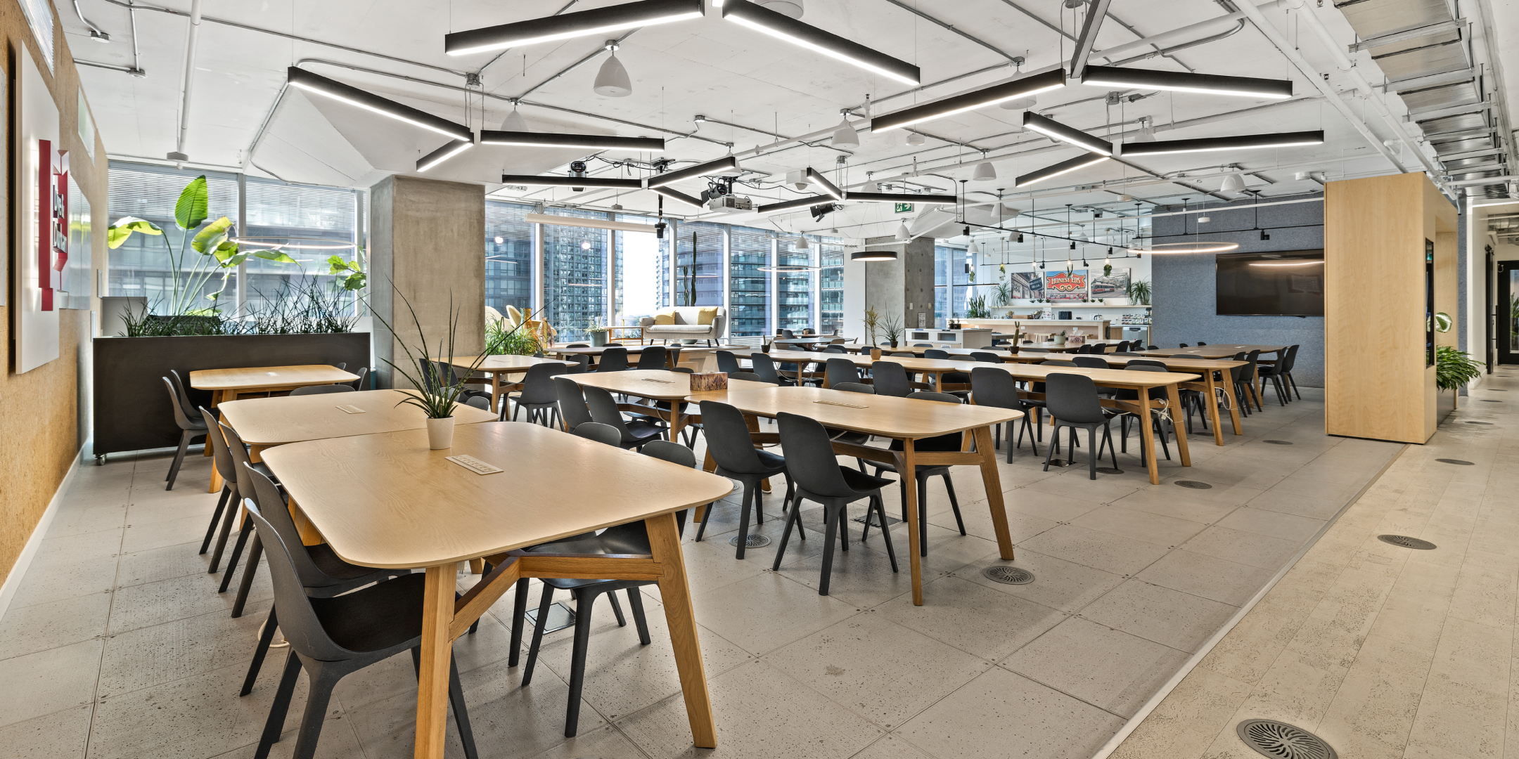 25 York Street relax area with lots of bright light