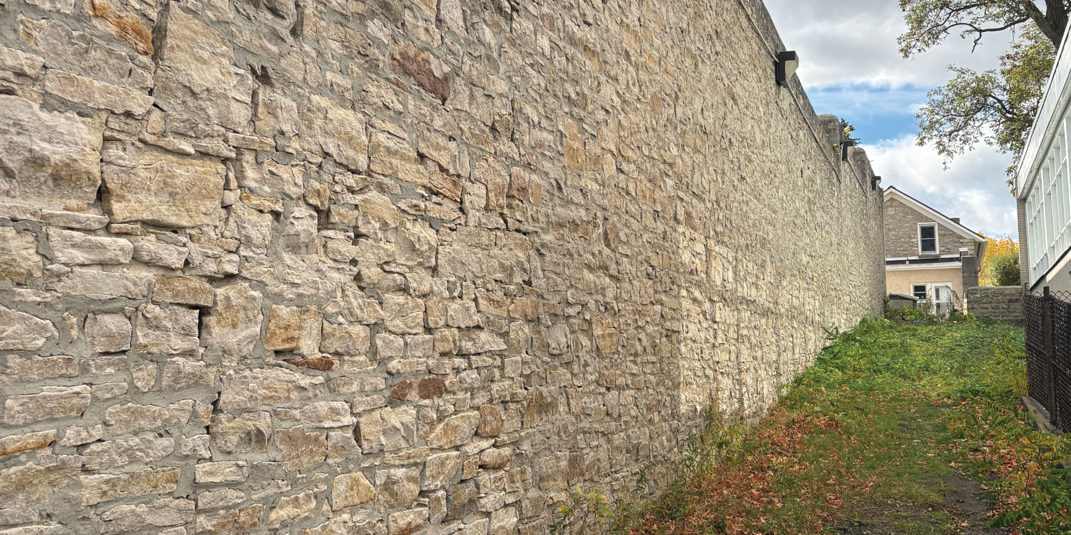 Side yard at 62 Beckwith Street E