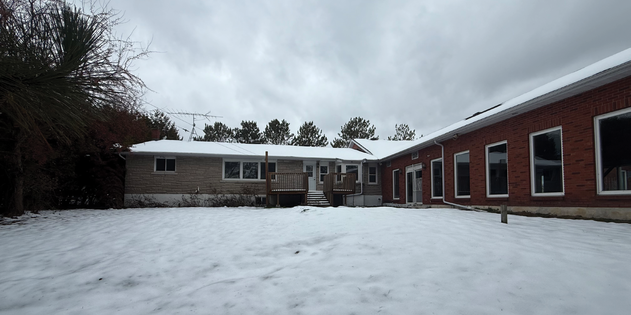 Backyard view facing house
