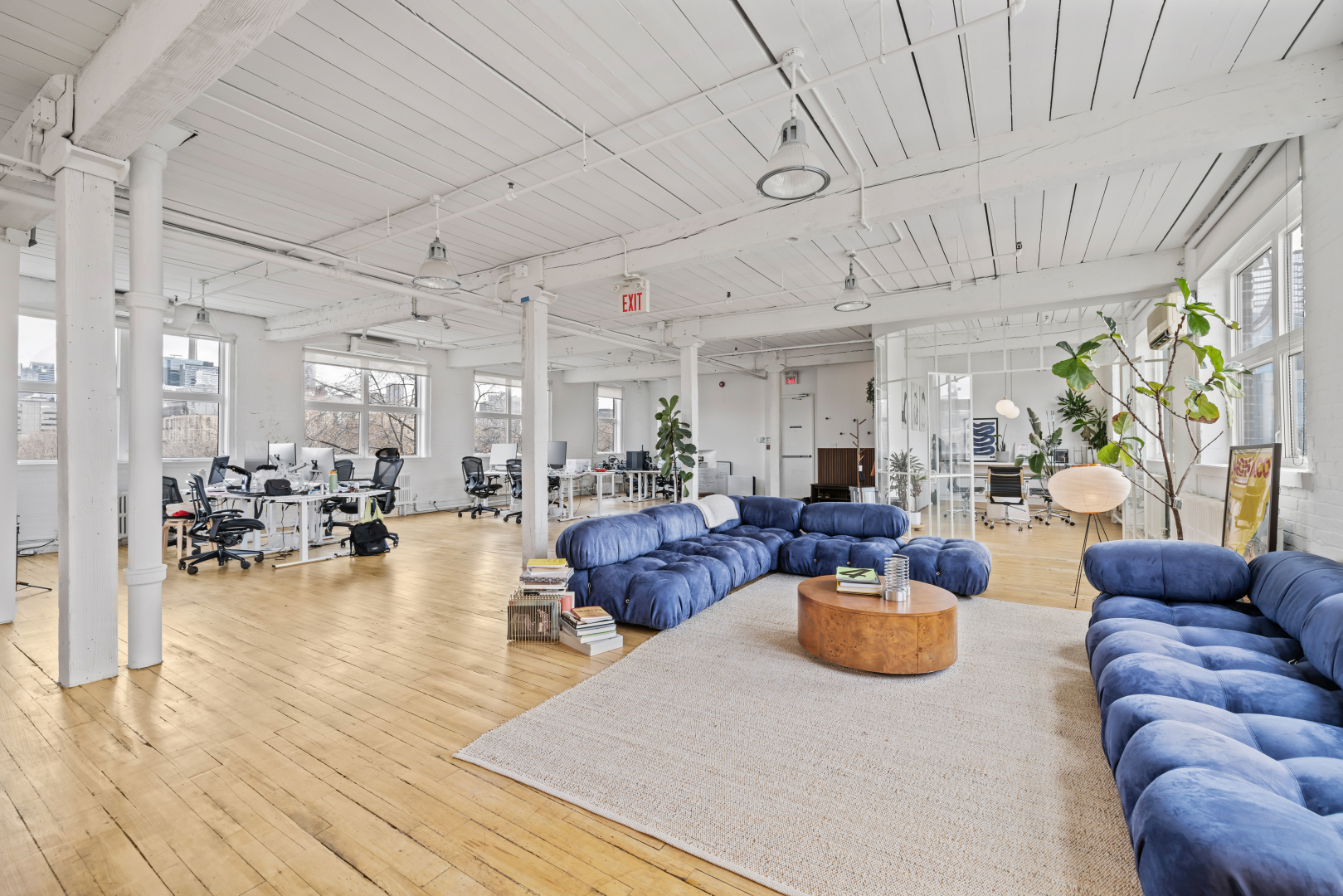 72 Stafford Street open space with blue sofa and work cubicles