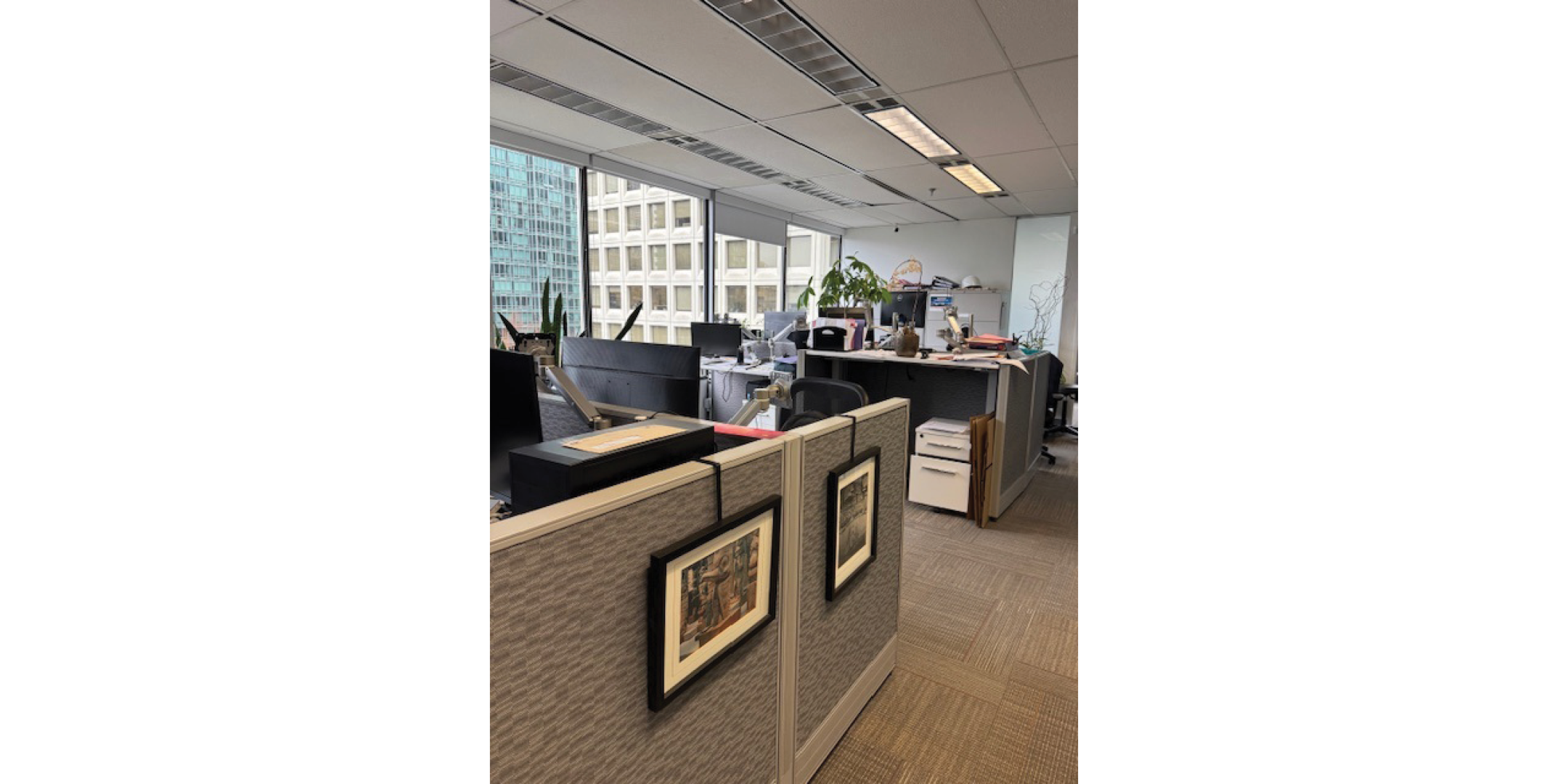 Interior of 116 Alberni Street showing a modern office with cubicles, large windows, and bright lighting. 