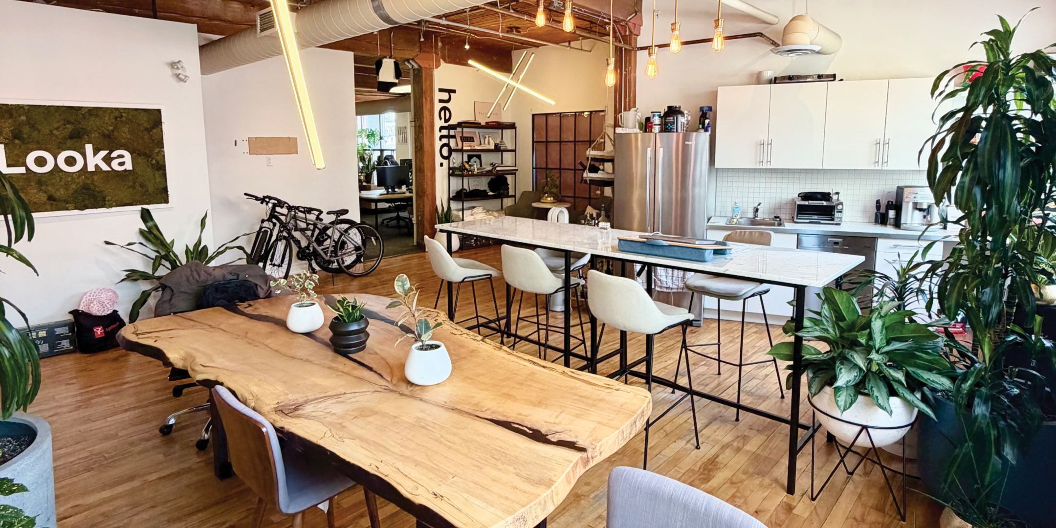 116 Spadina Ave modern kitchenette with bar seating and plants