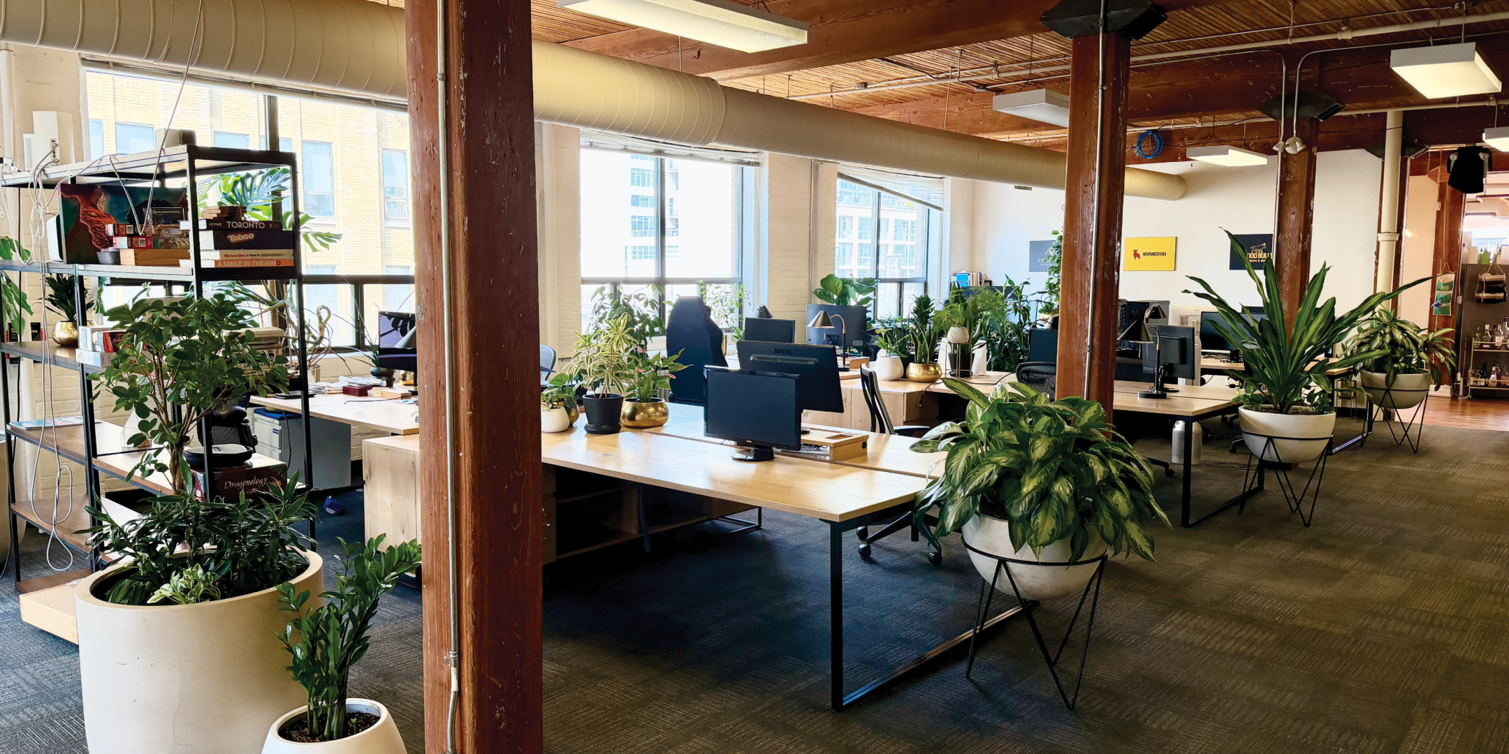 116 Spadina Ave open workspace with desks and greenery
