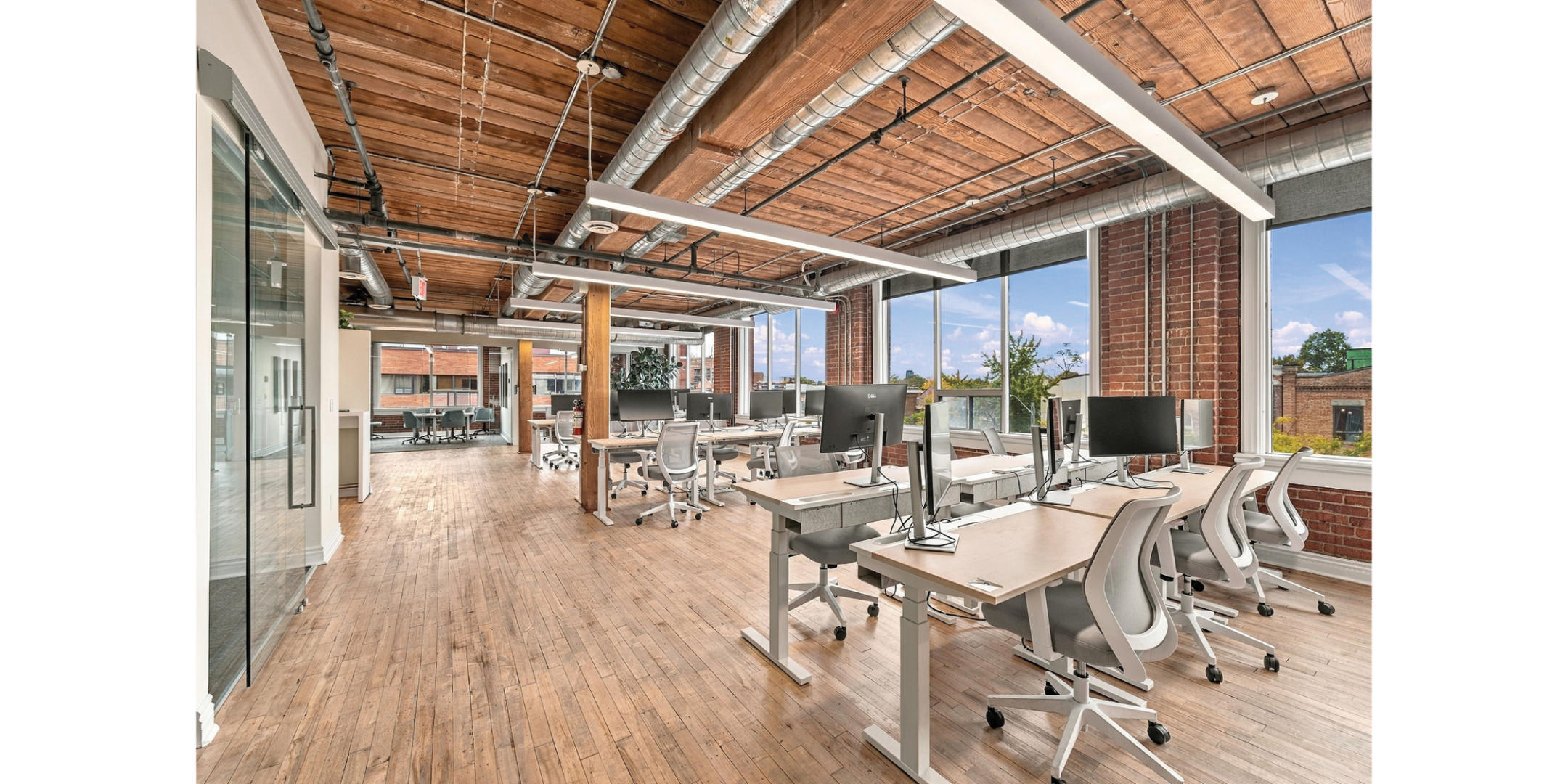 559 College Street Open Office