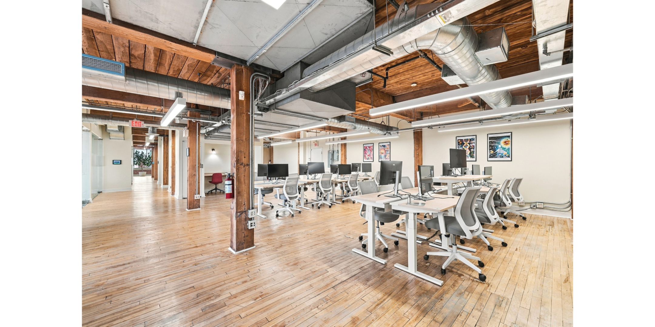 559 College Street Open Office