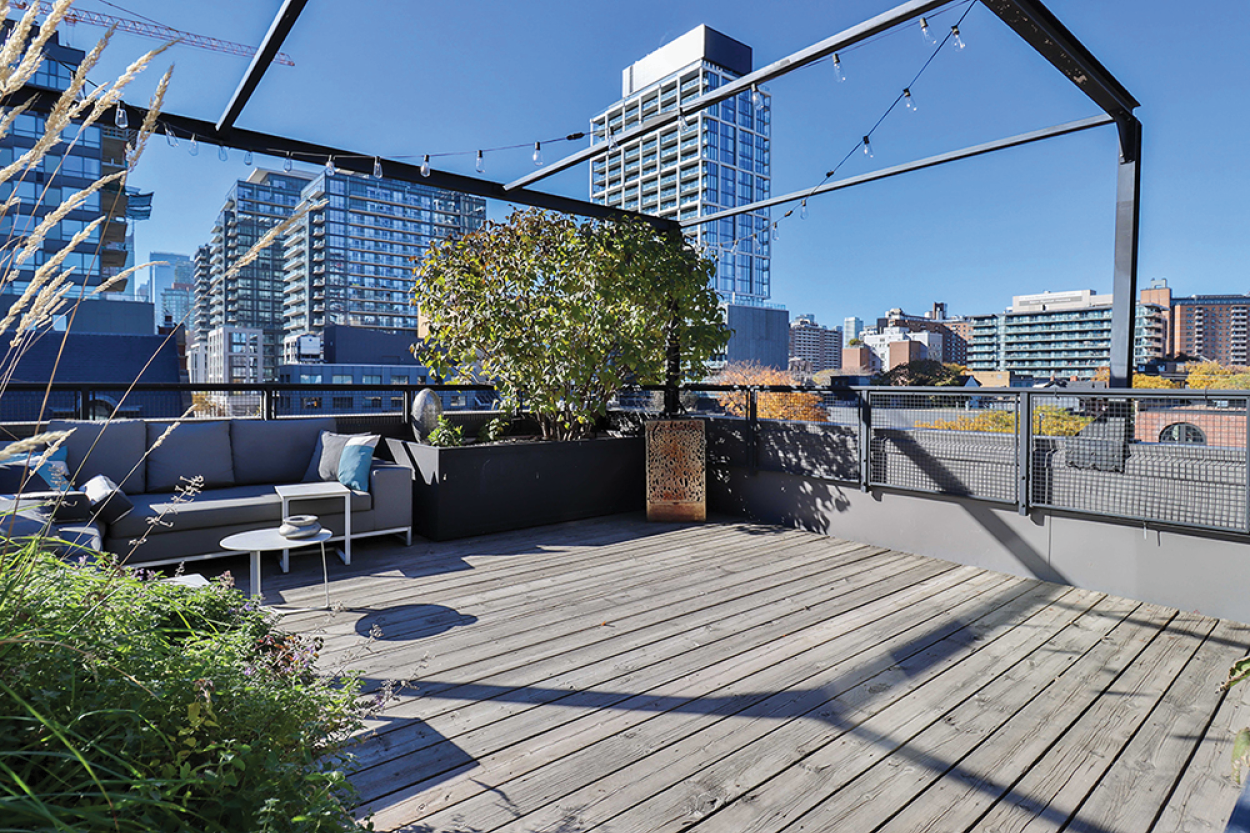 79 Berkeley Street and 535 Adelaide Street E roof top patio
